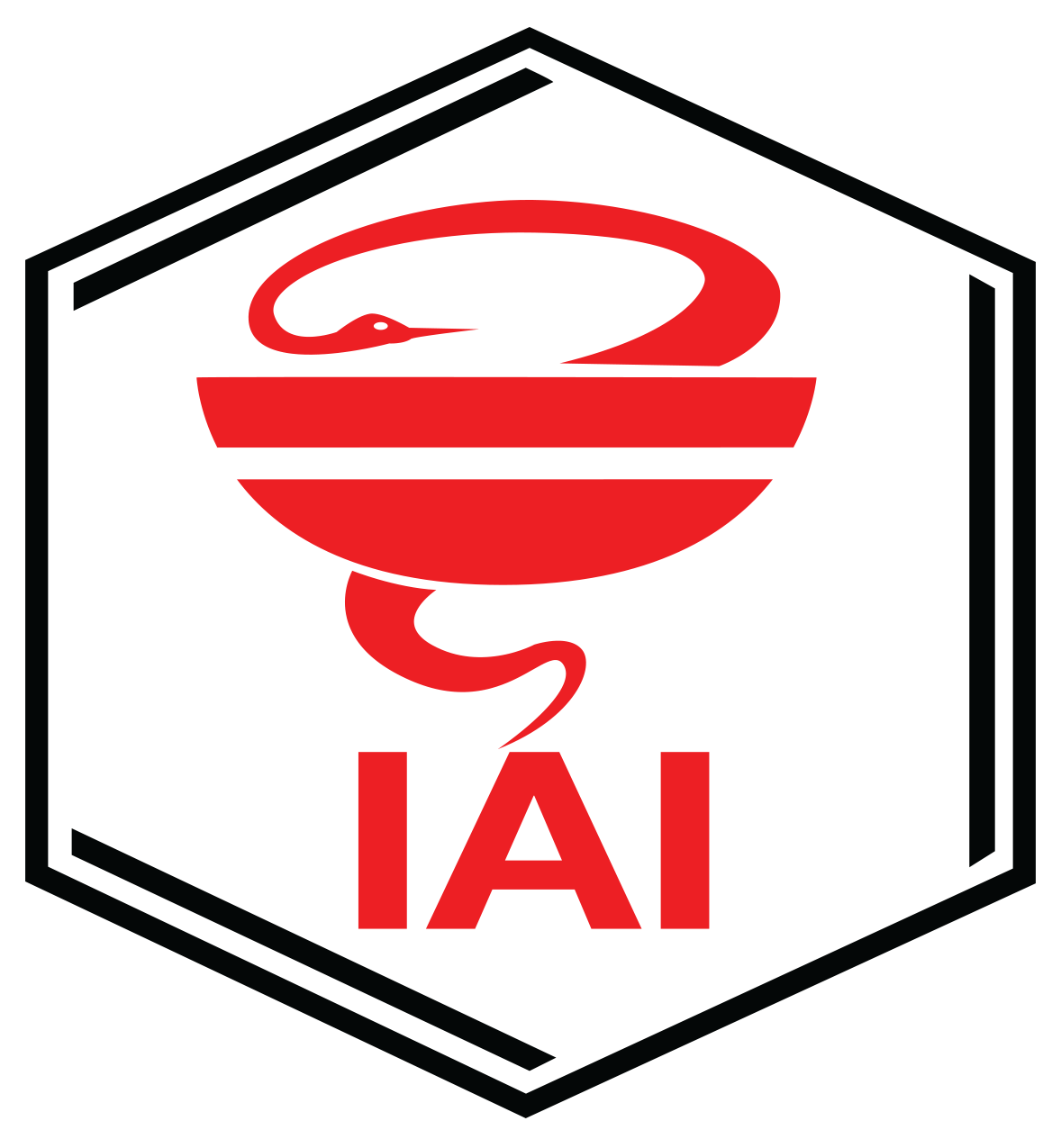 Logo IAI_ok.png